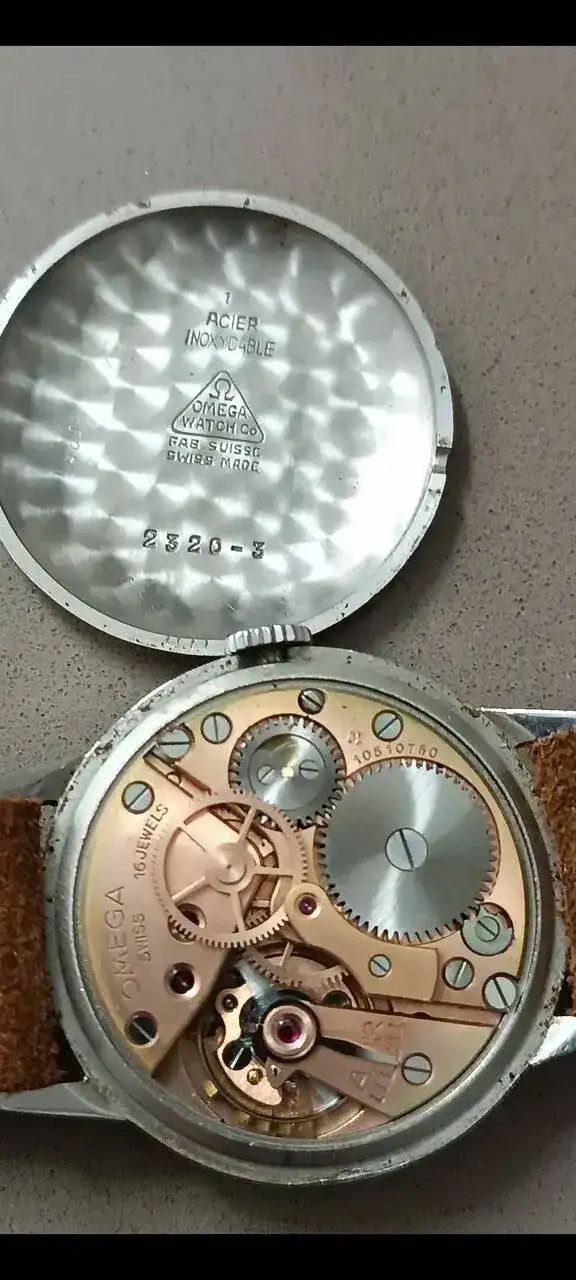 1000045477.jpg