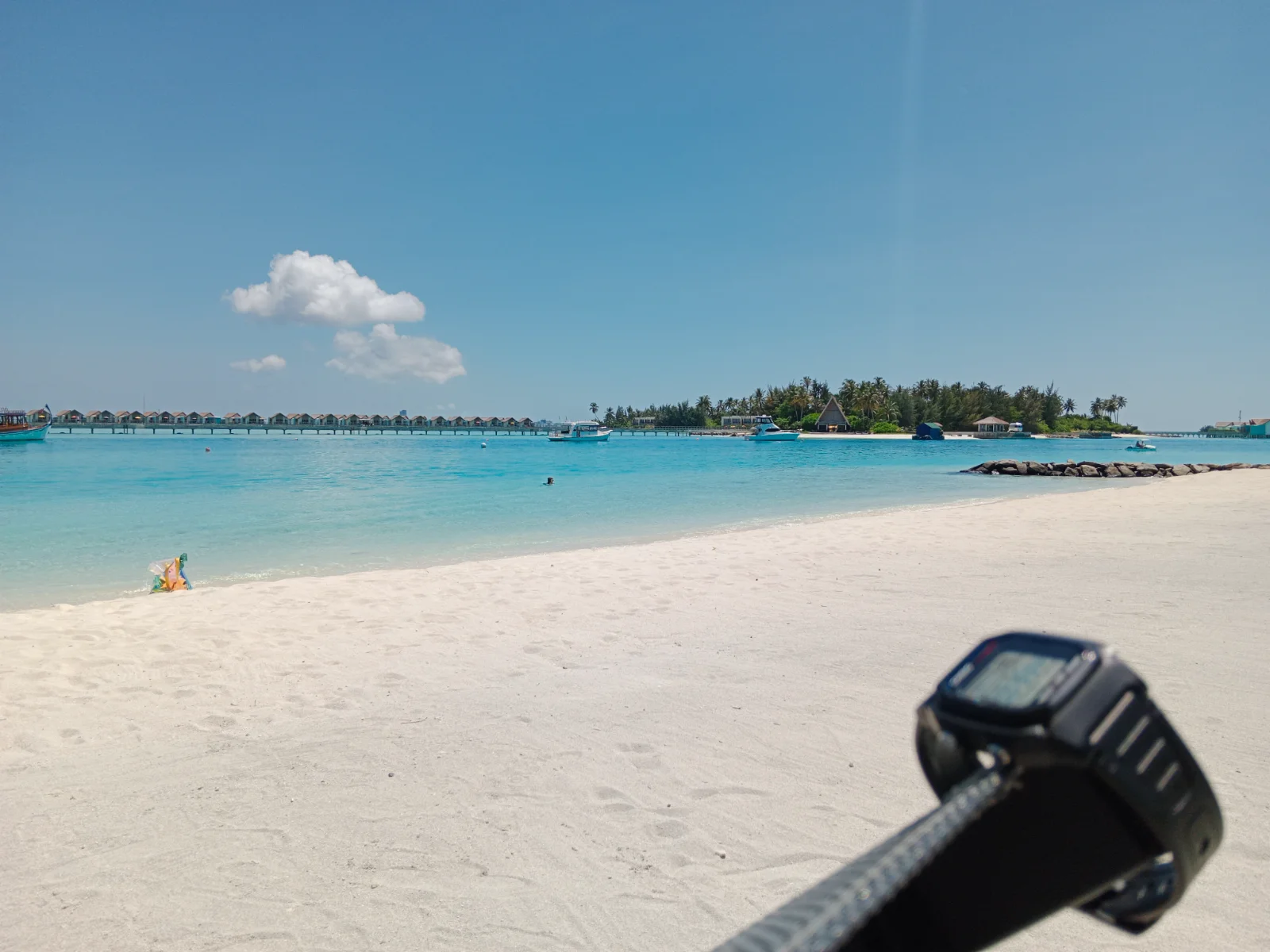 1000046346.webp