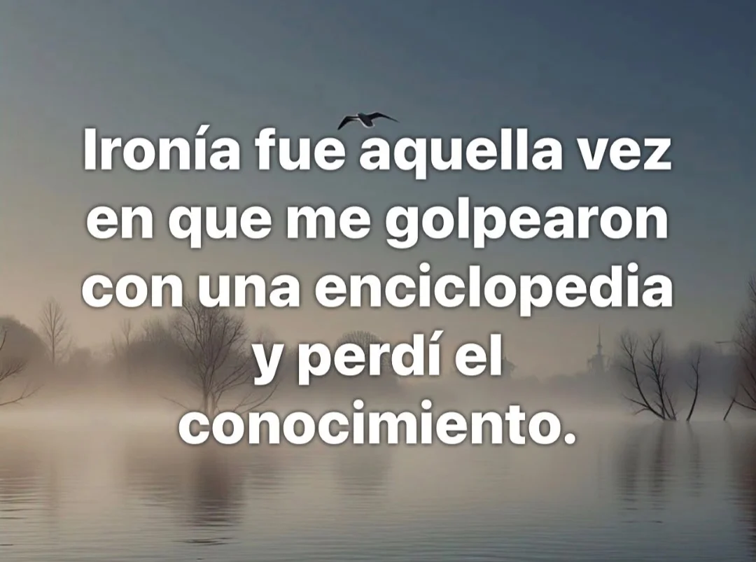 1000047251.webp