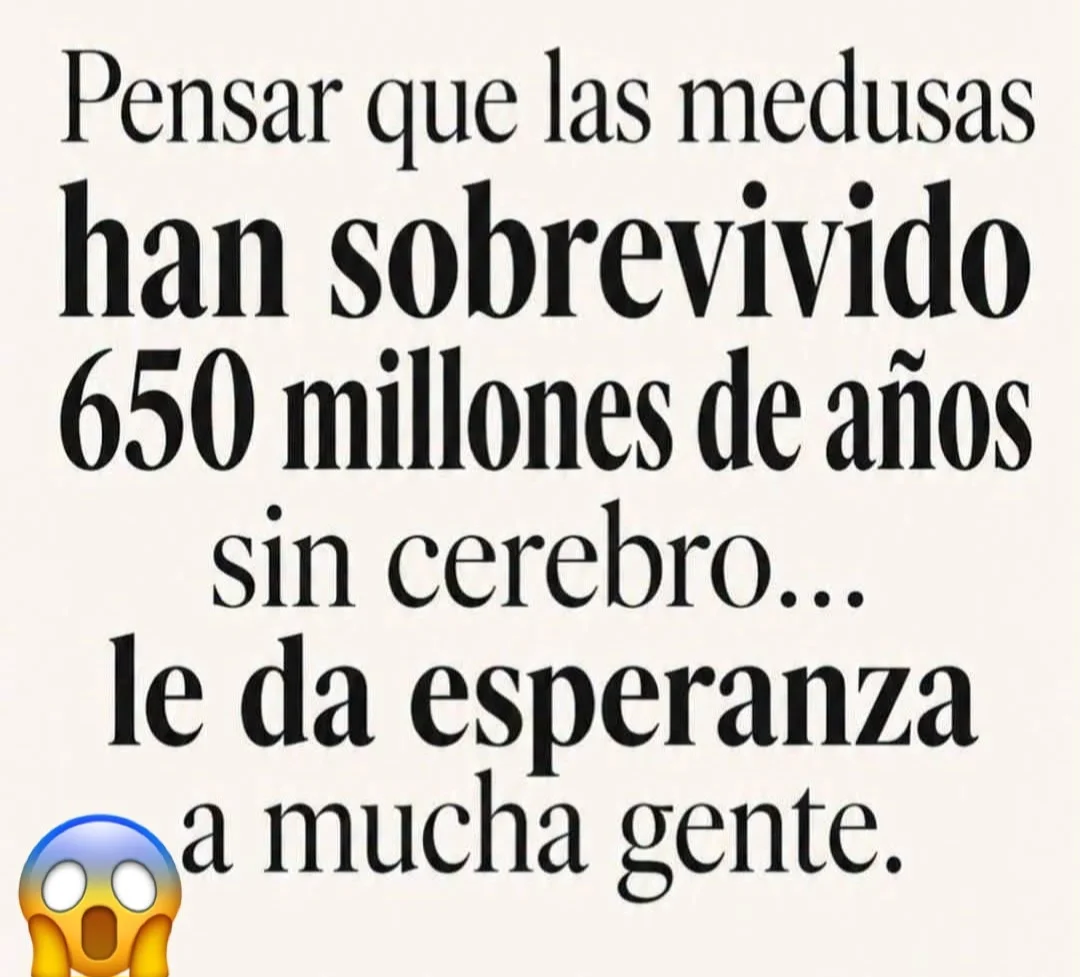 1000047406.webp