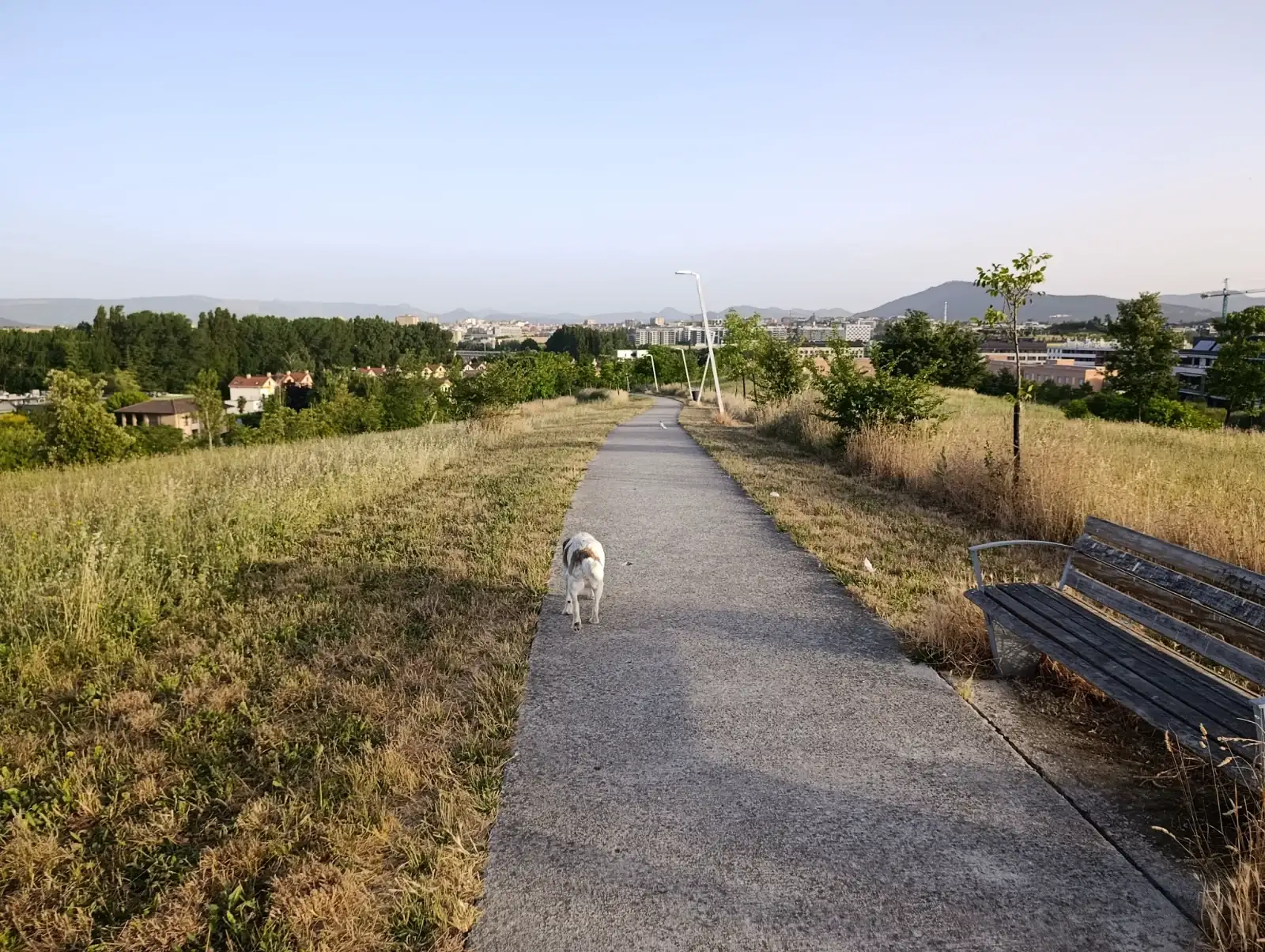 1000048174.webp