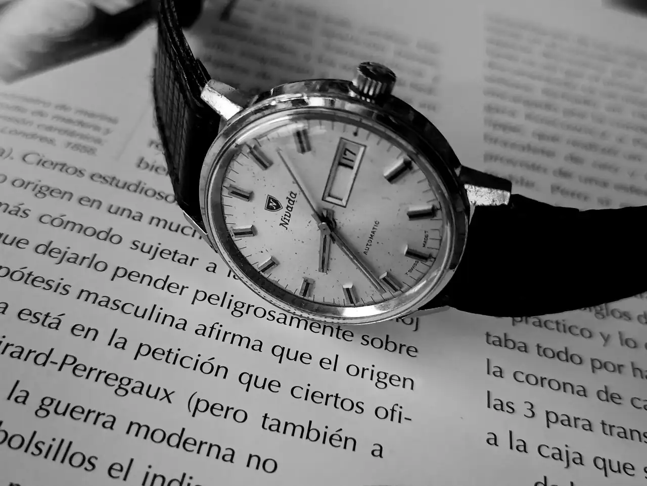 1000048756.webp