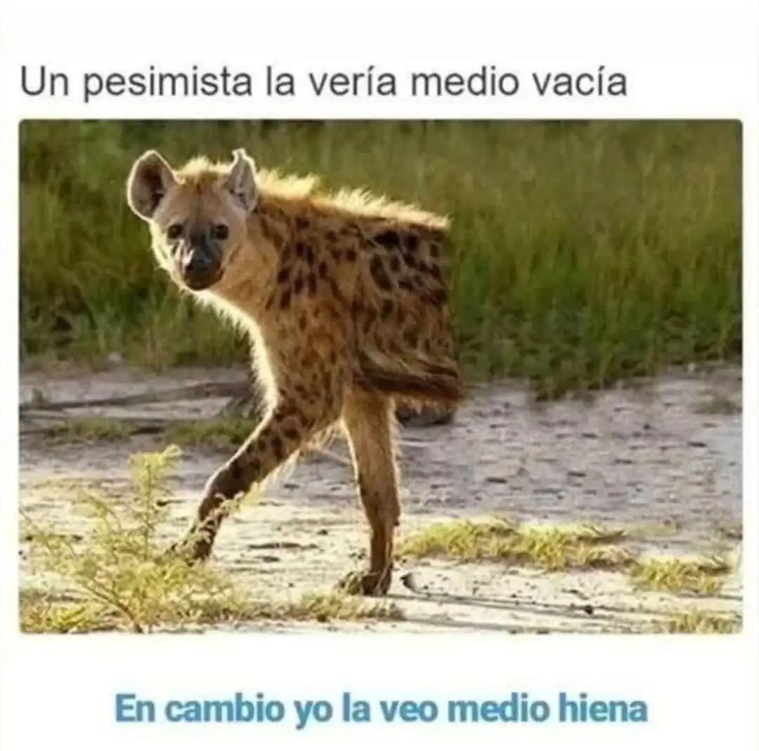 1000048816.webp