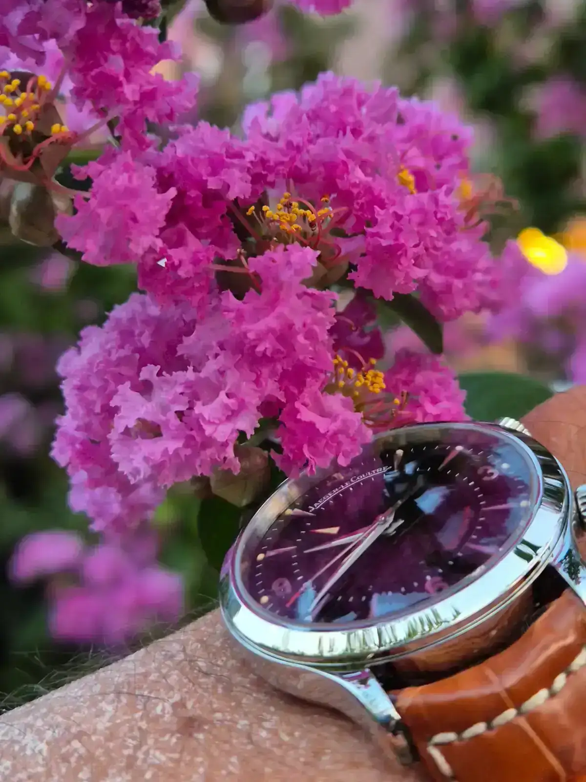 1000050396.webp