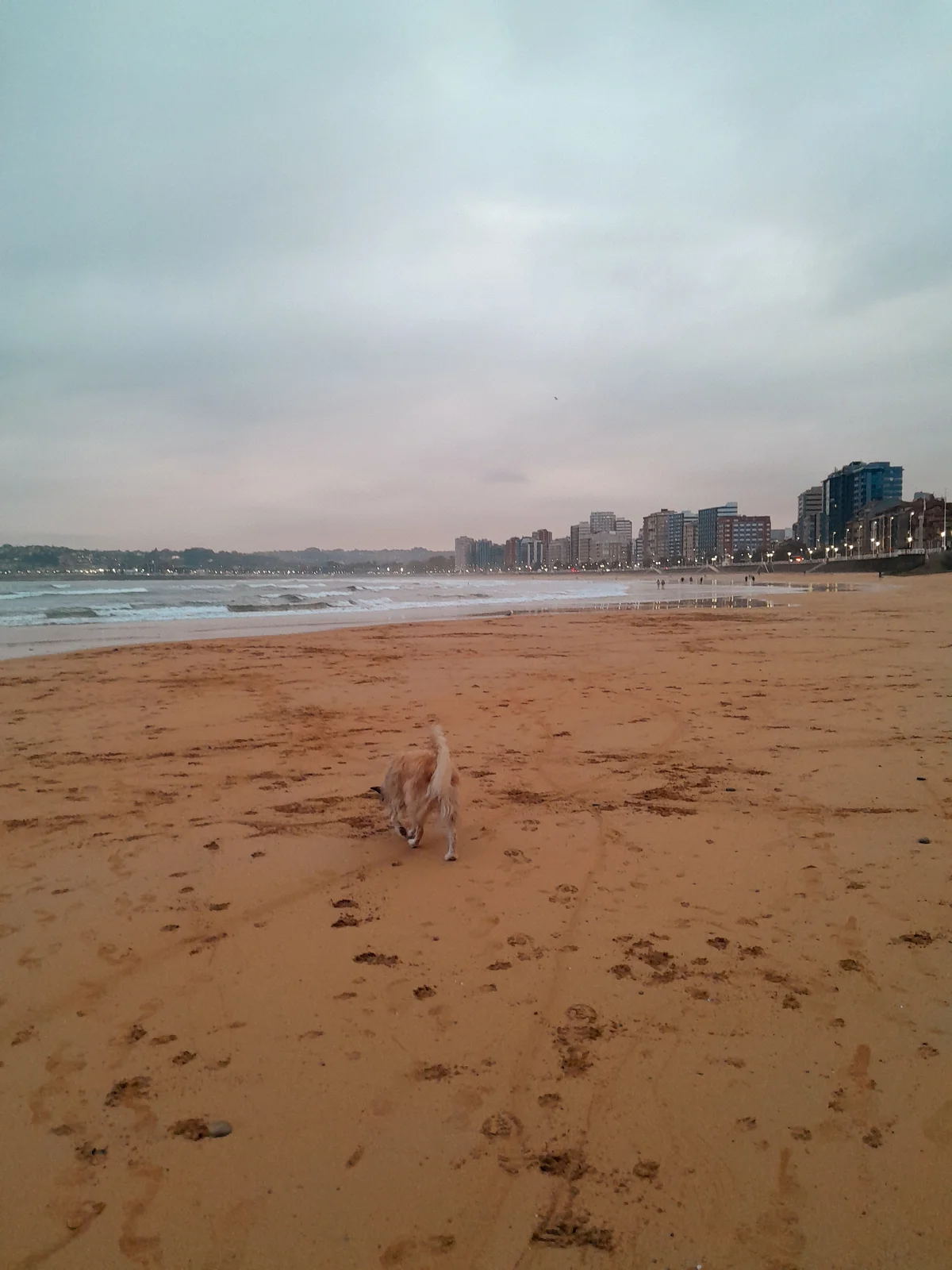 1000050799.webp