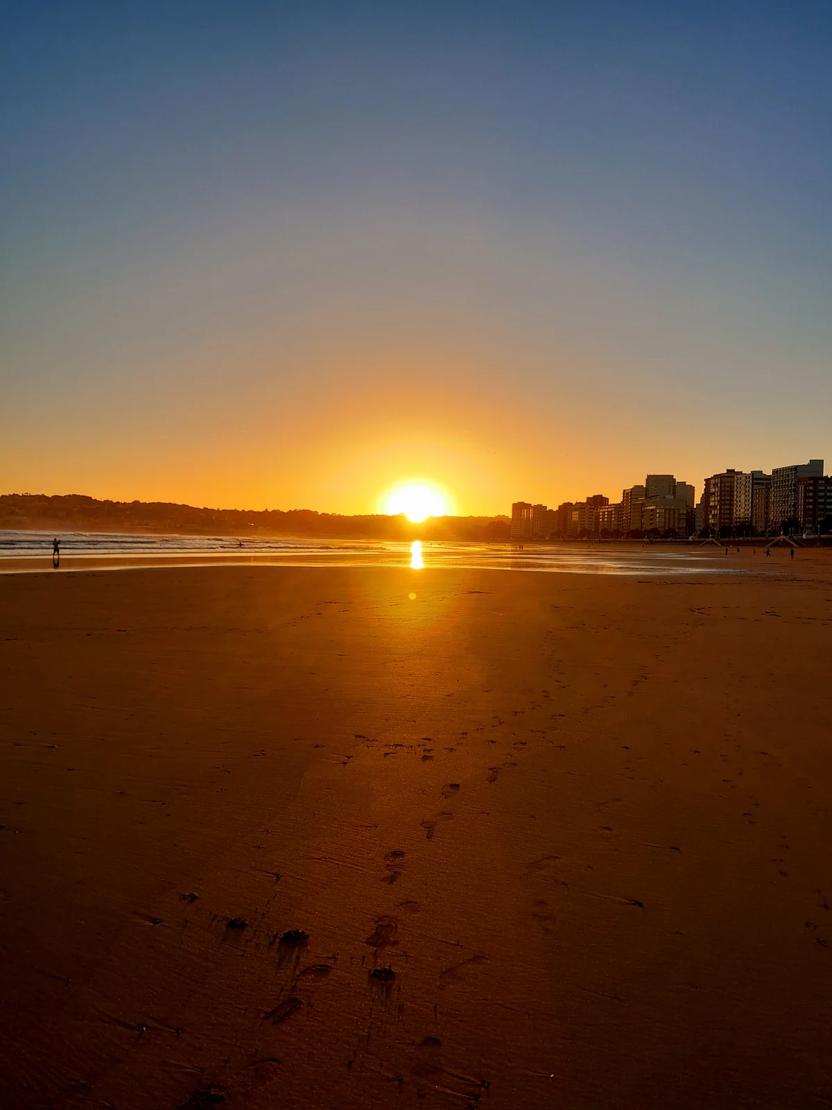 1000051044.webp