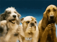 1000051369.gif