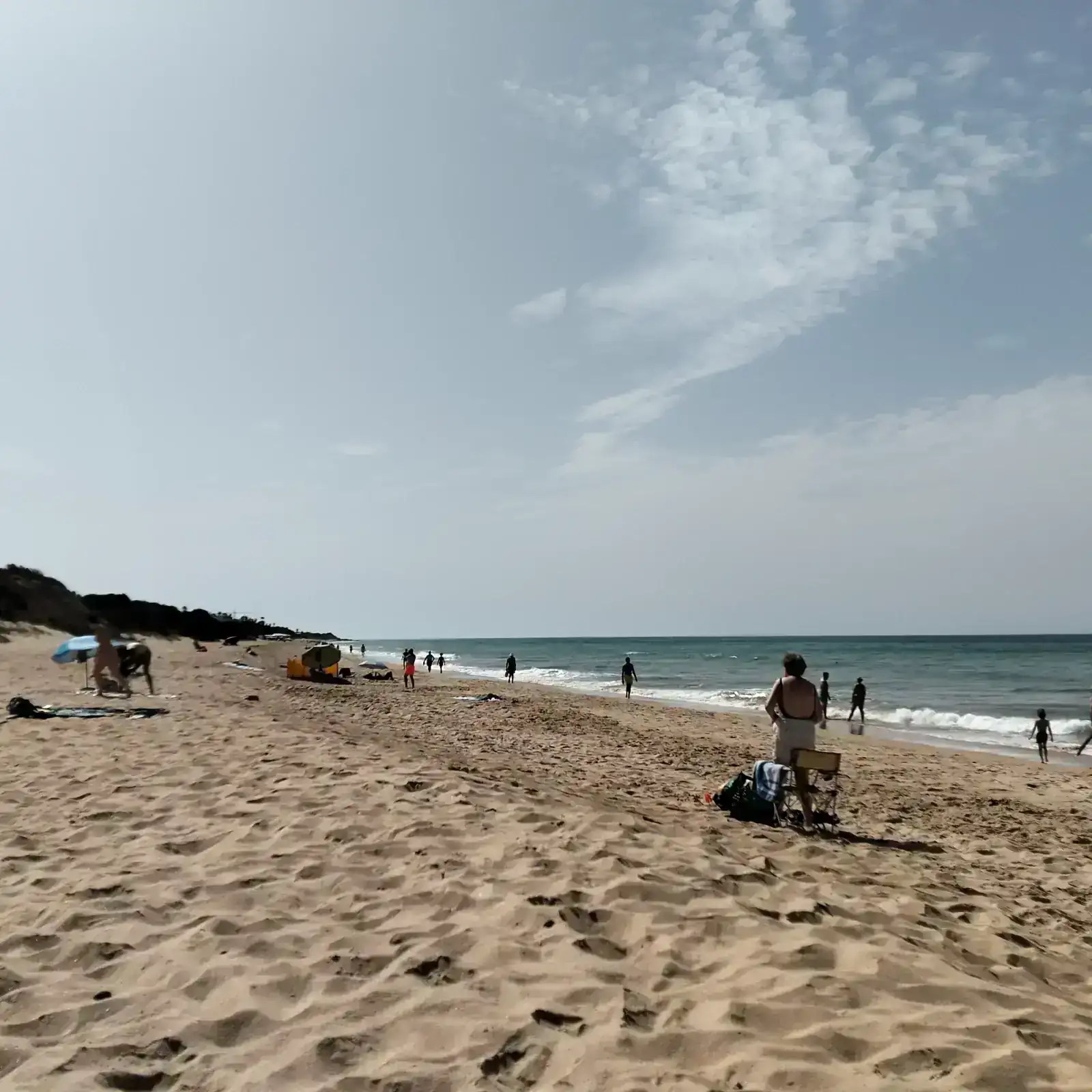 1000052382.webp