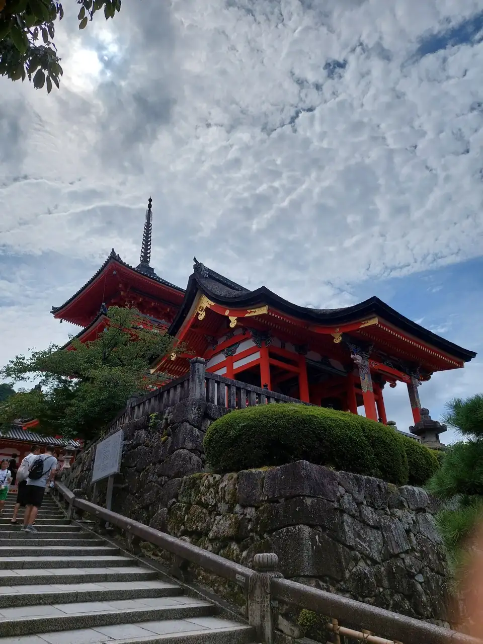 1000052474.webp