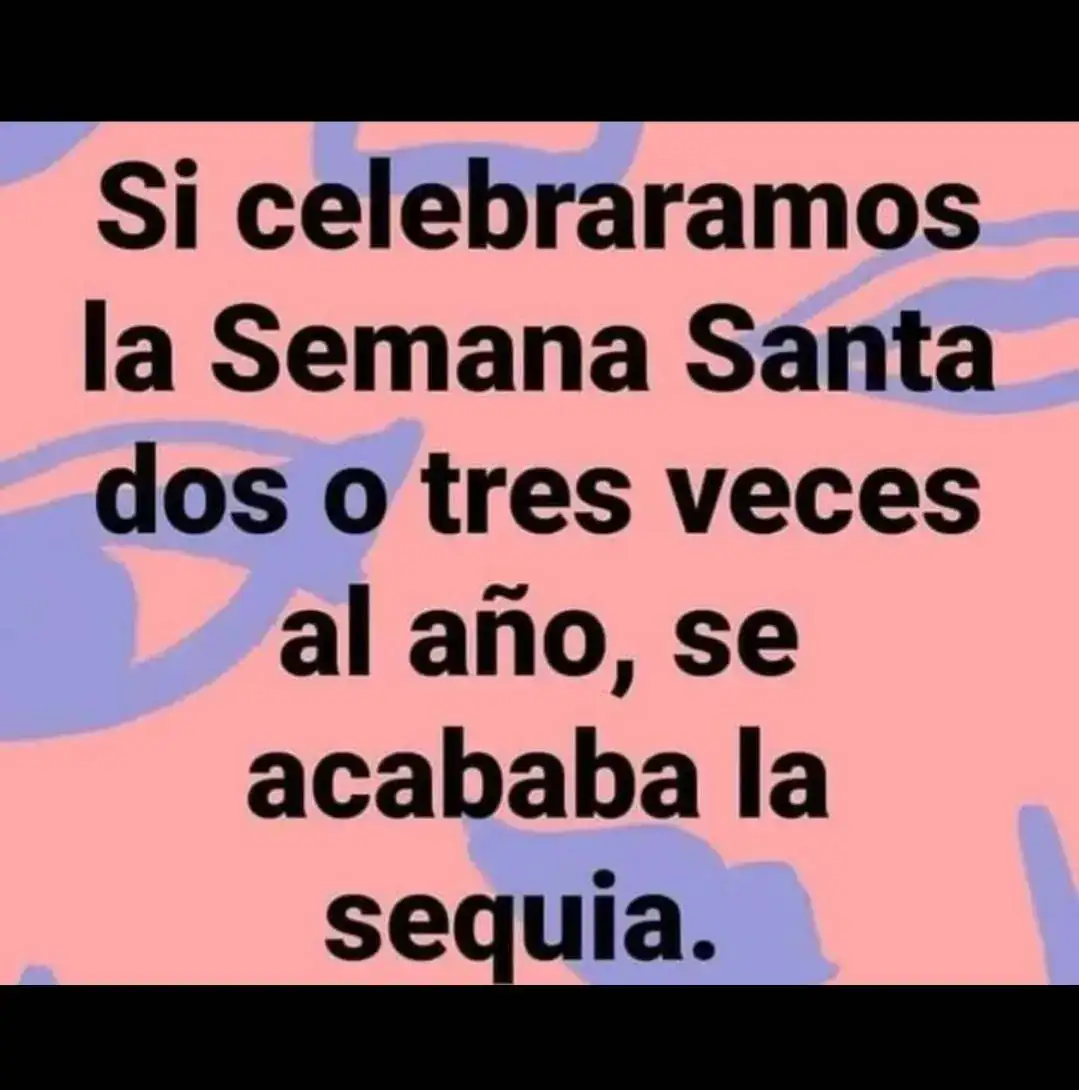 1000052795.webp