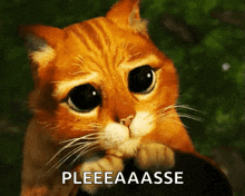 1000054951.gif