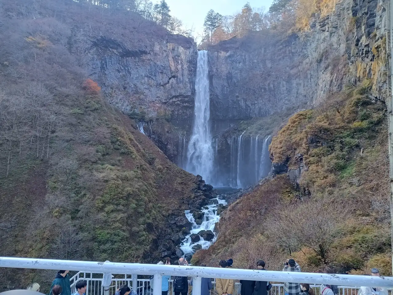 1000056182.webp