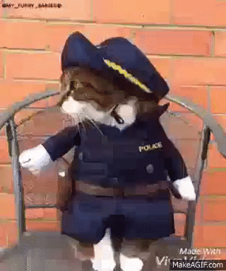 1000061037.gif