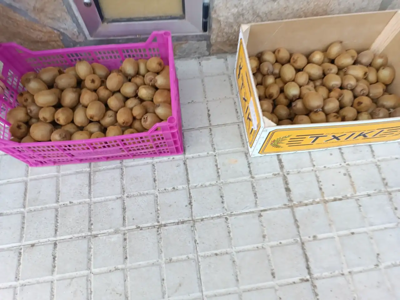 1000064929.webp