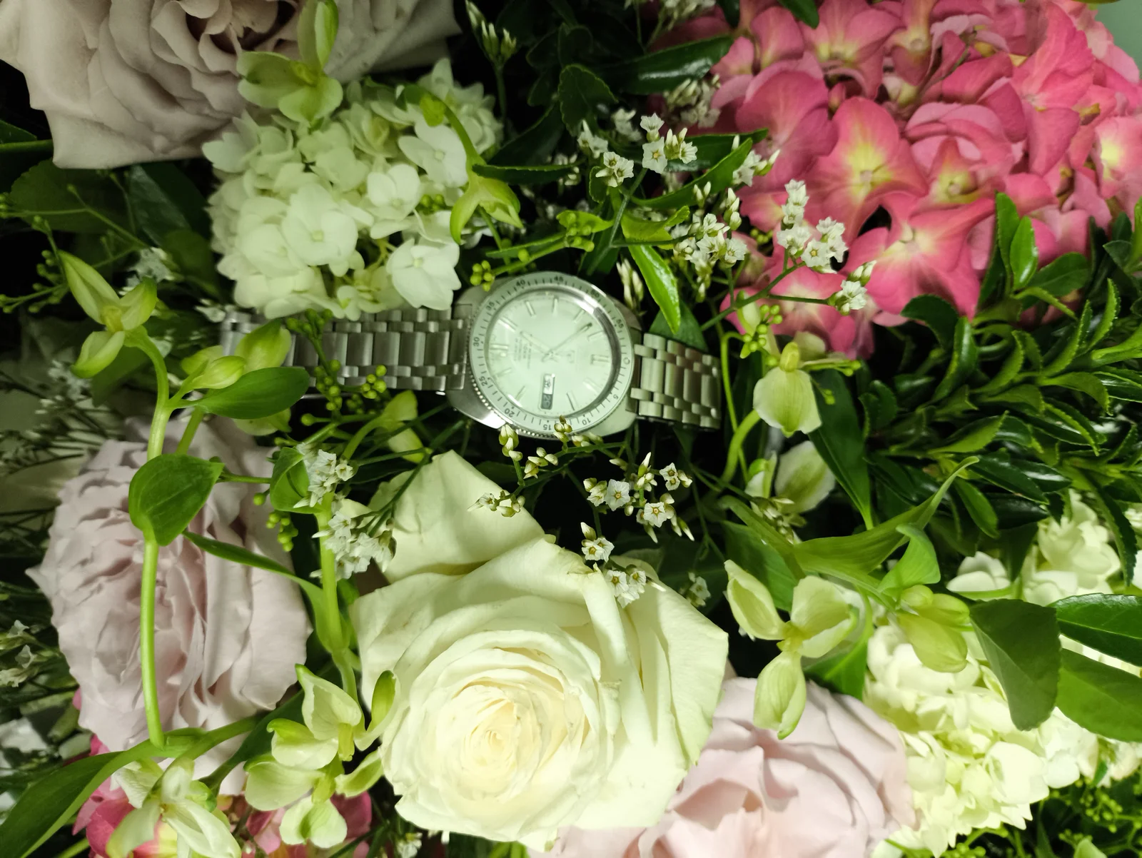 1000065528.webp