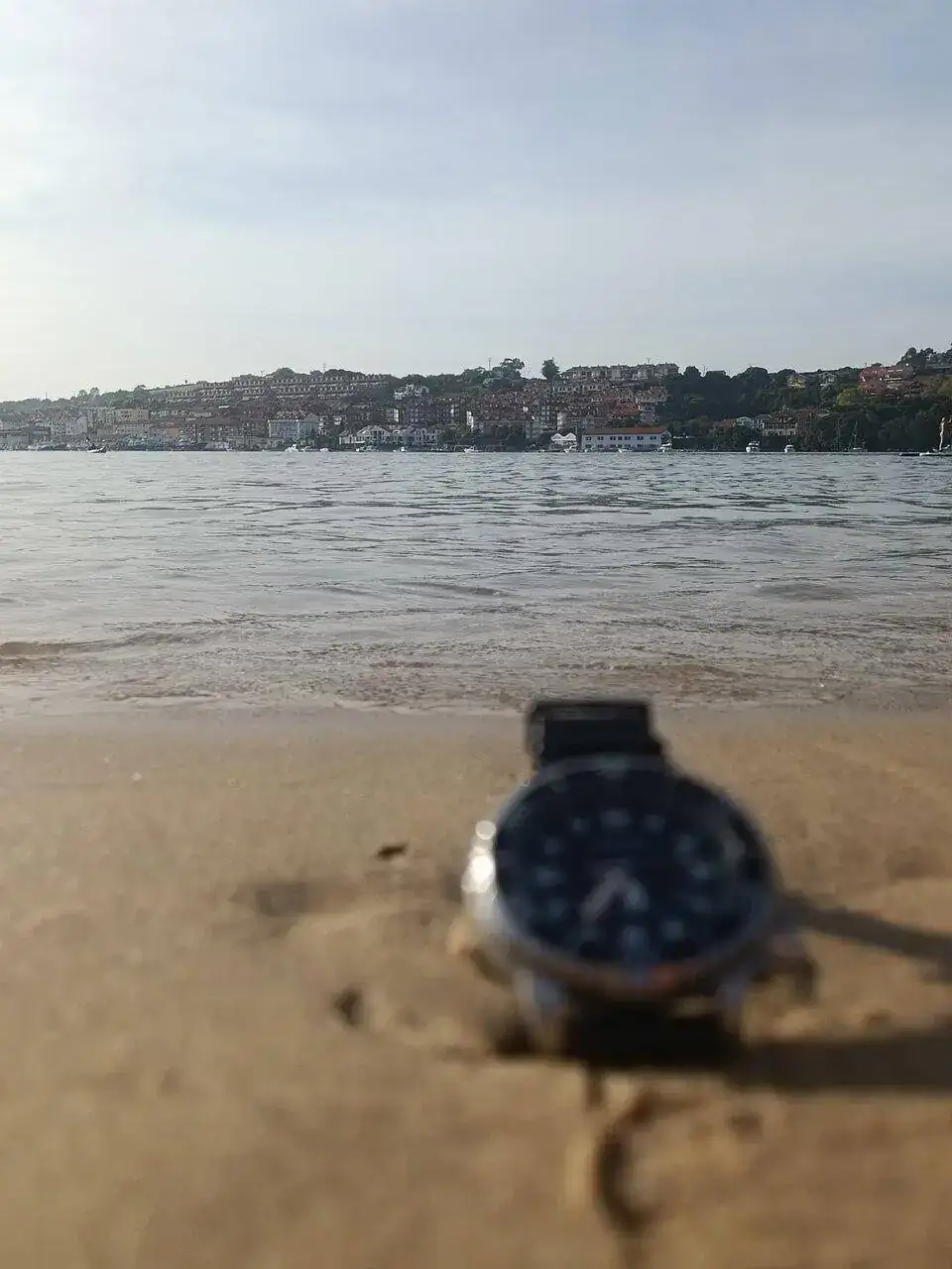 1000067206.jpg