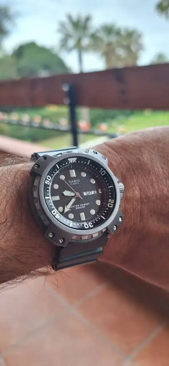 1000069438.jpg