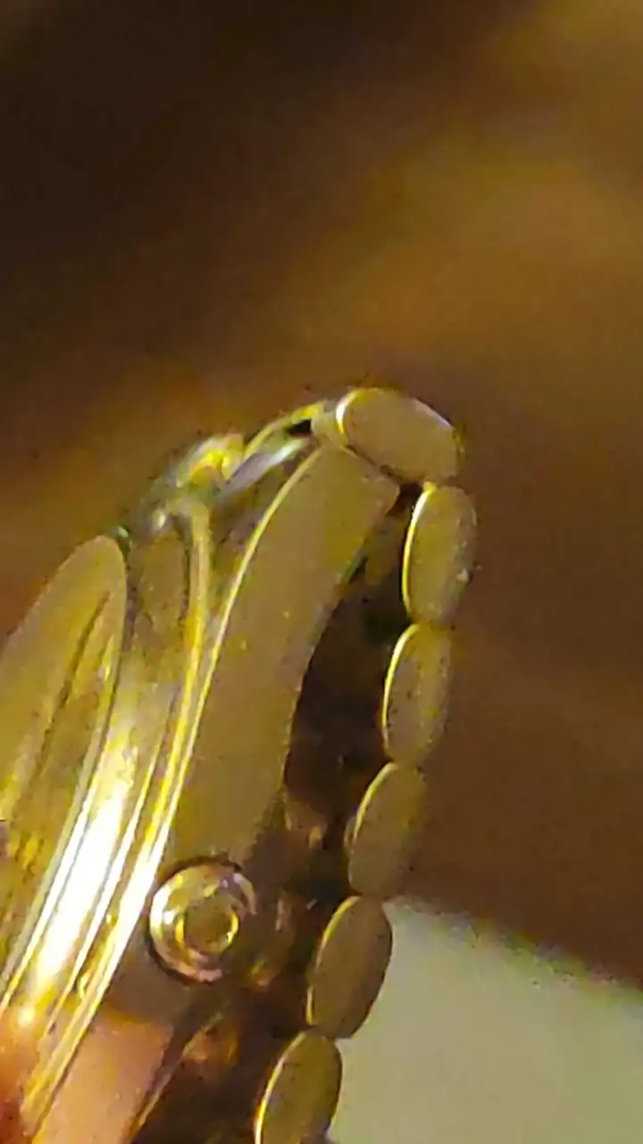 1000074278.webp
