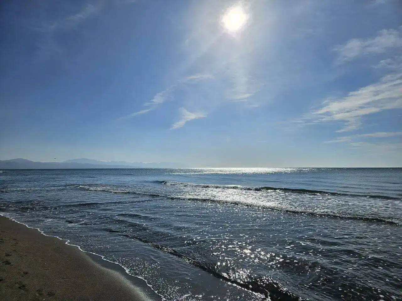 1000077450.webp