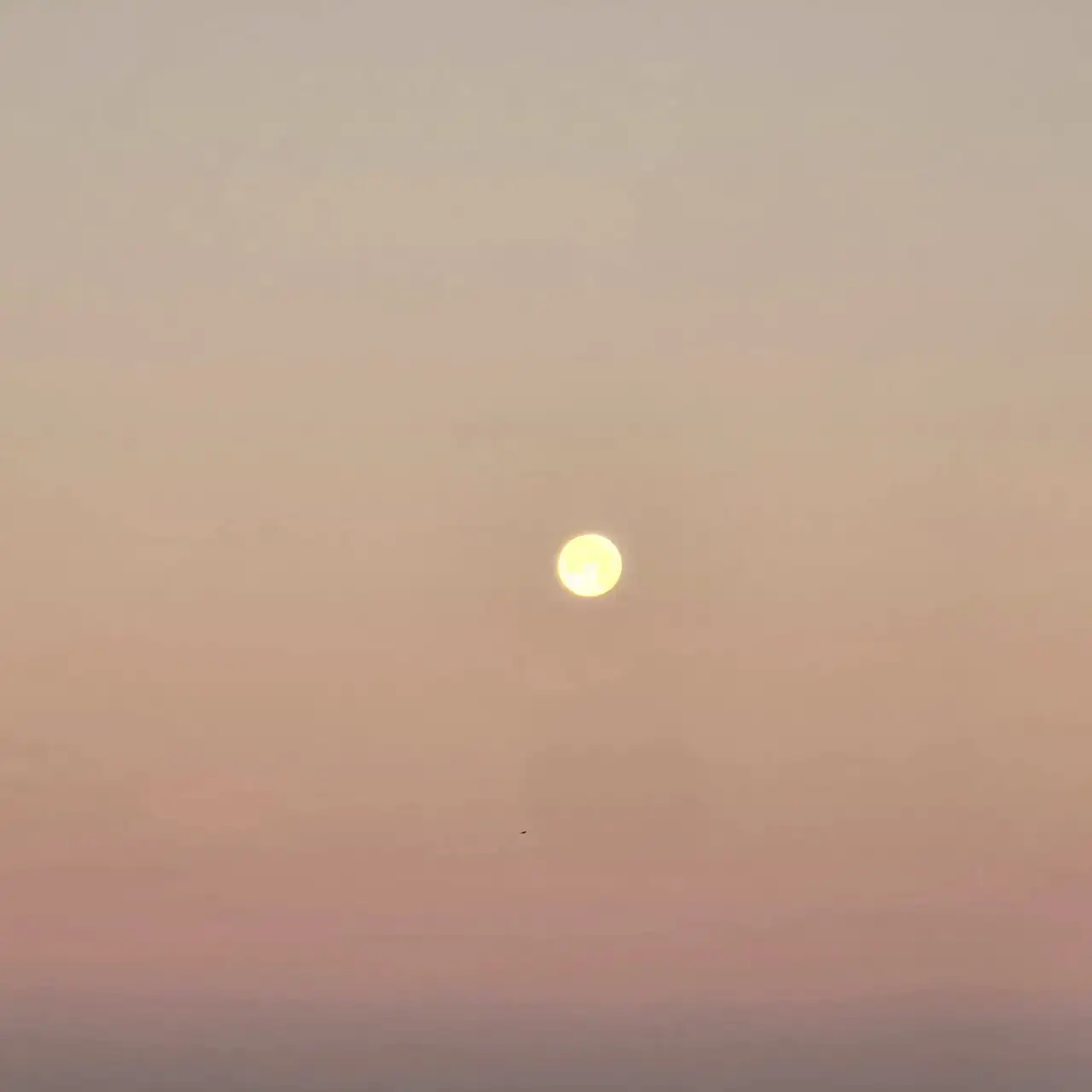 1000077735.webp