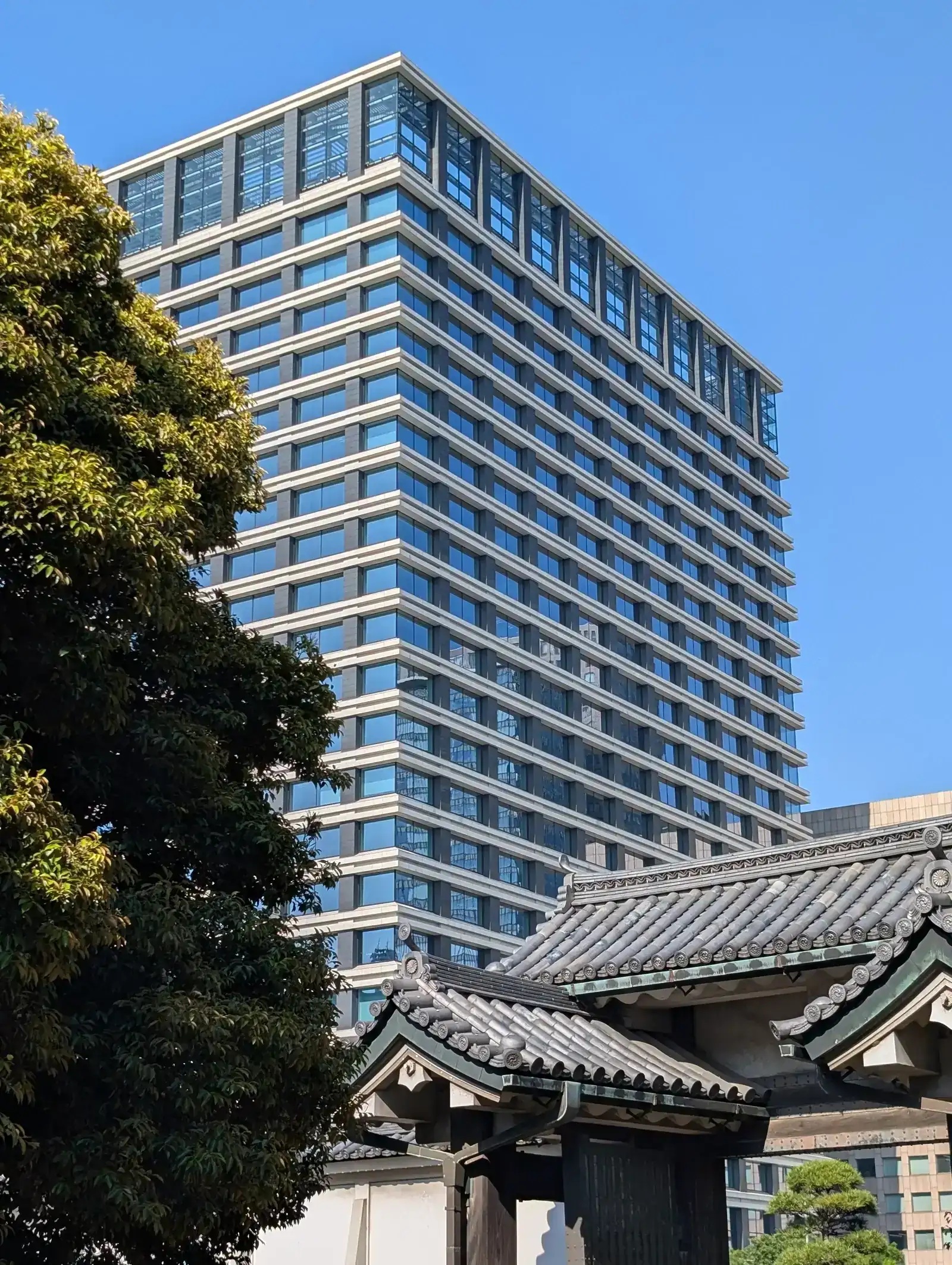 1000080627.webp
