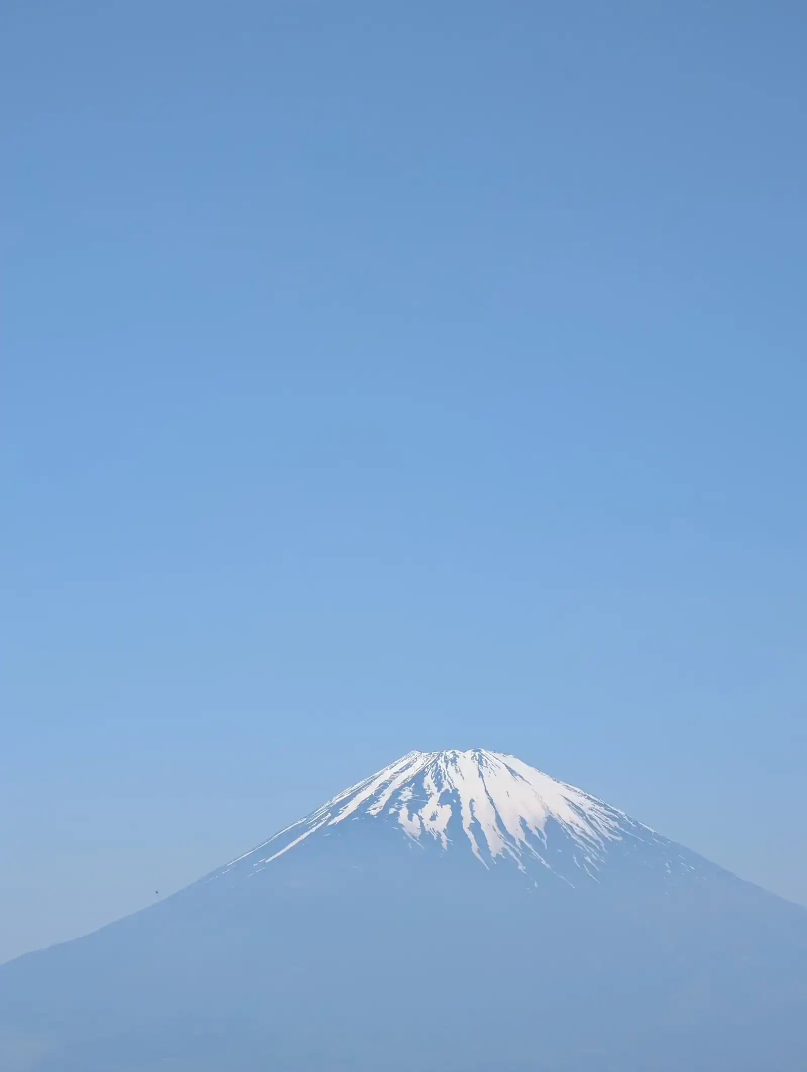 1000081779.webp