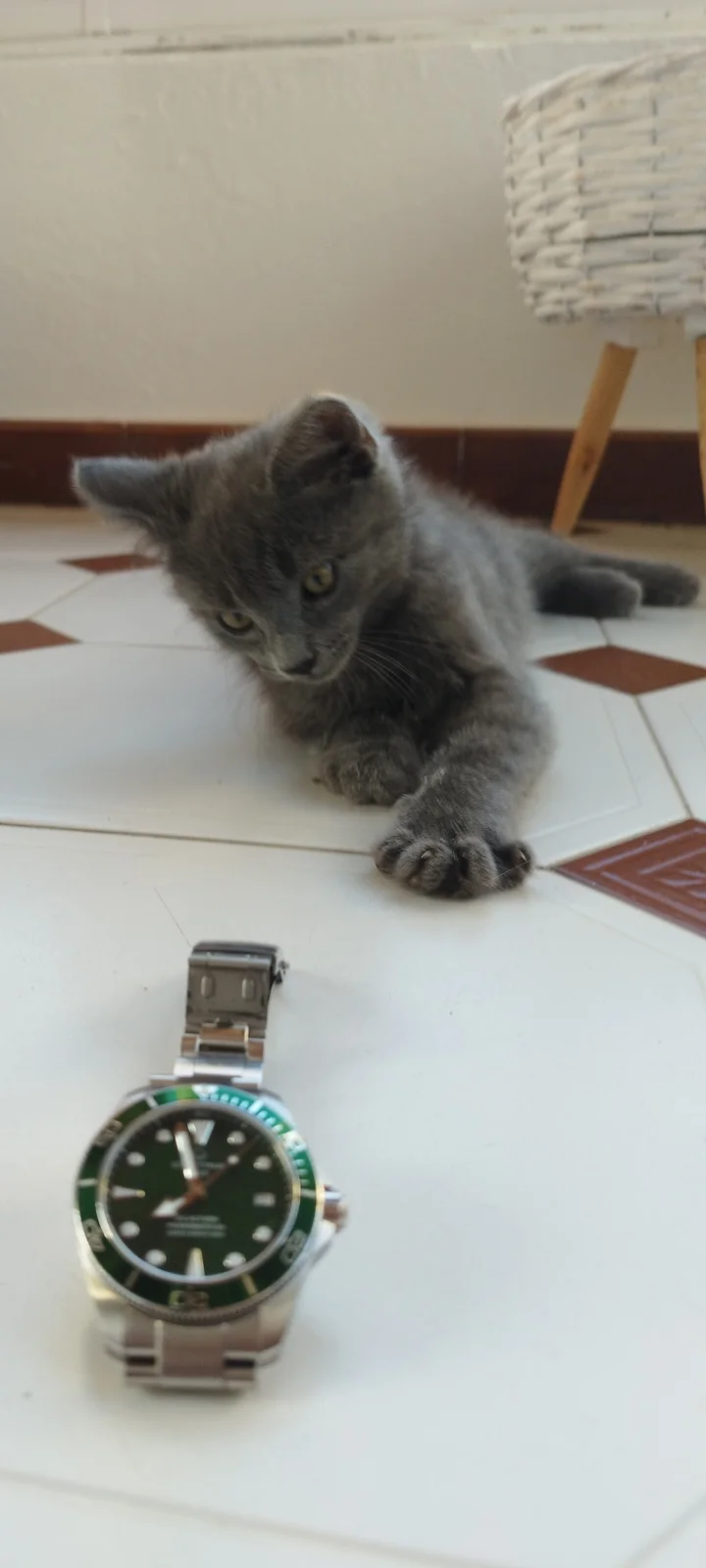 1000082090.webp
