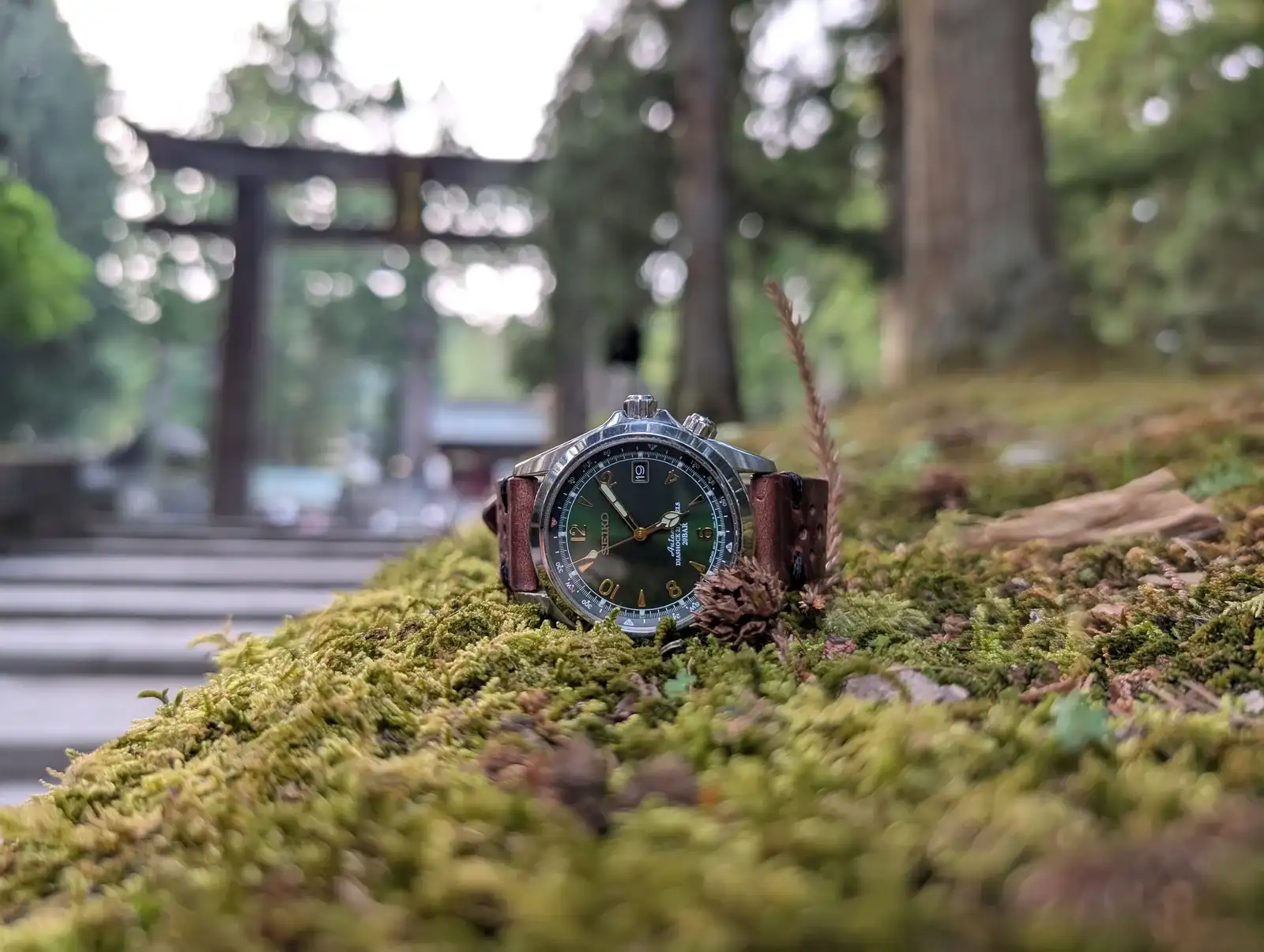 1000089414.webp