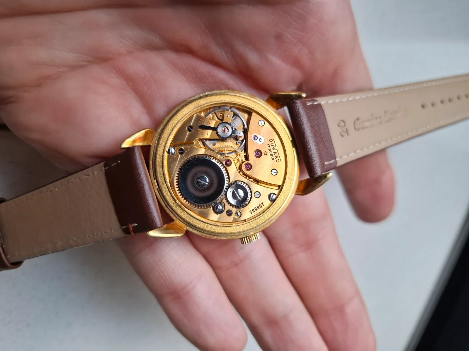 1000097795.webp 1000097795.webp