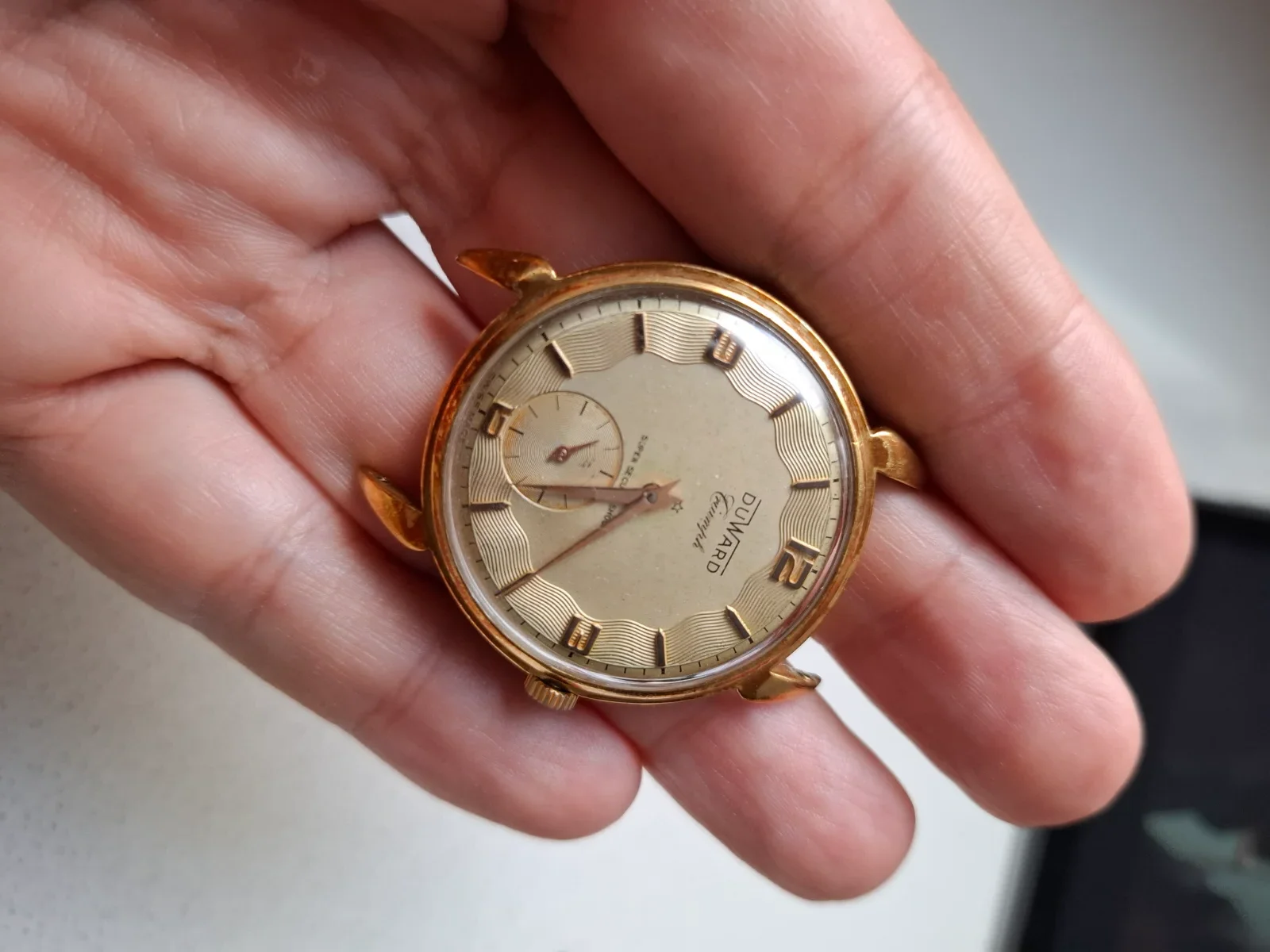 1000097806.webp 1000097806.webp