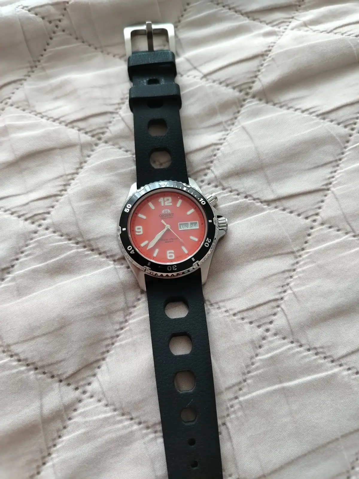 1000100201.webp
