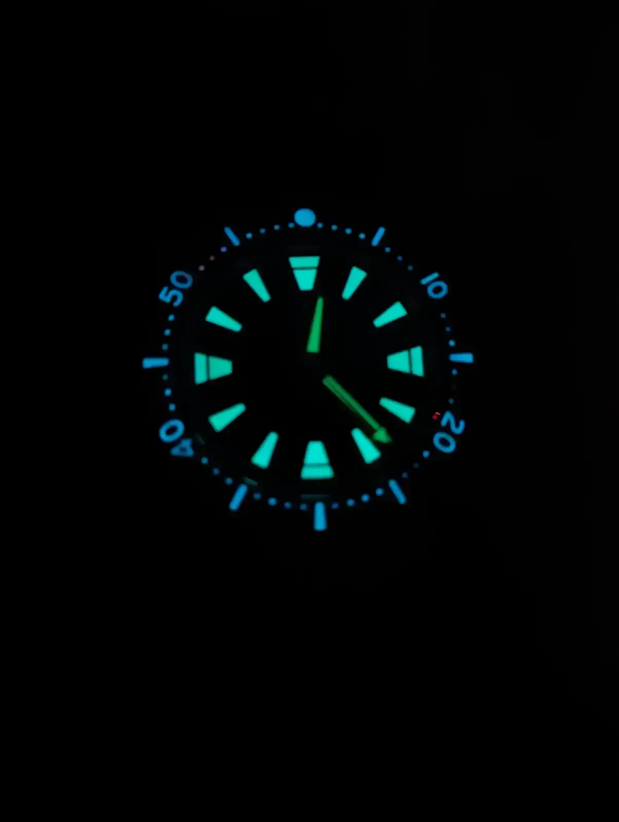 1000113047.webp