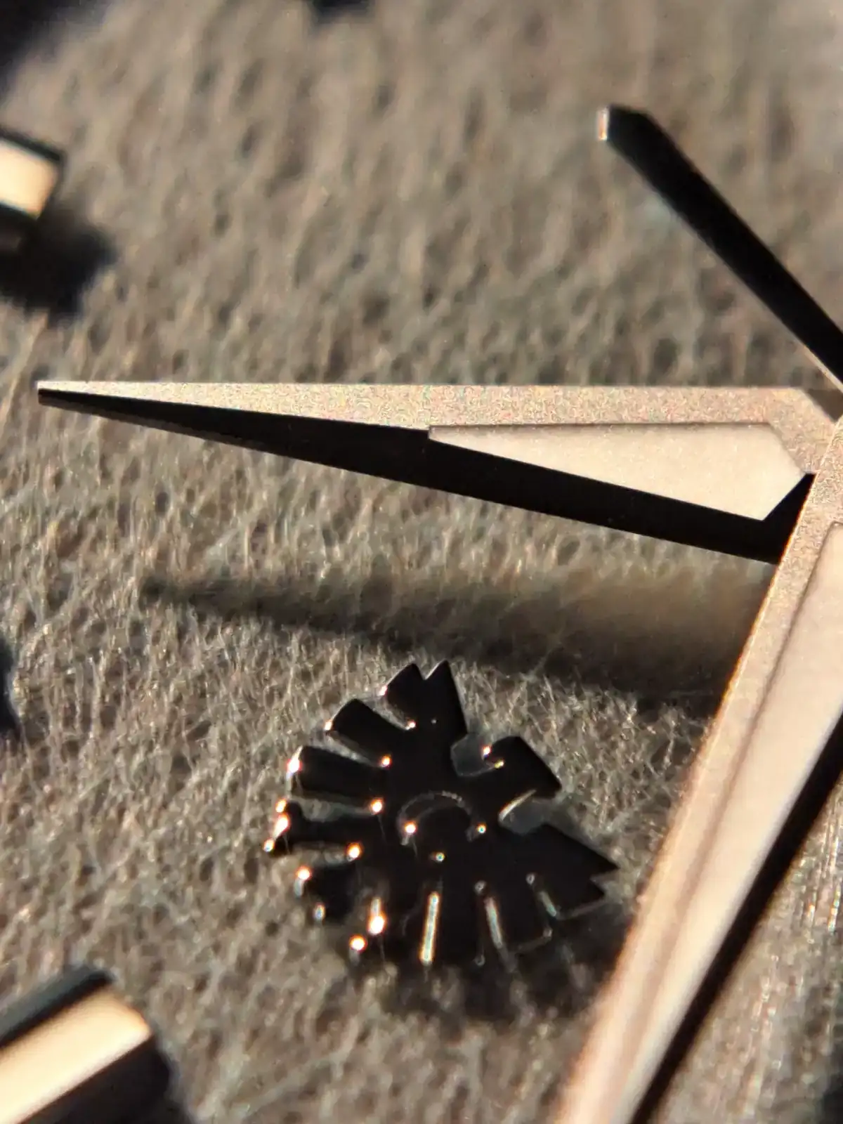 1000122059.webp