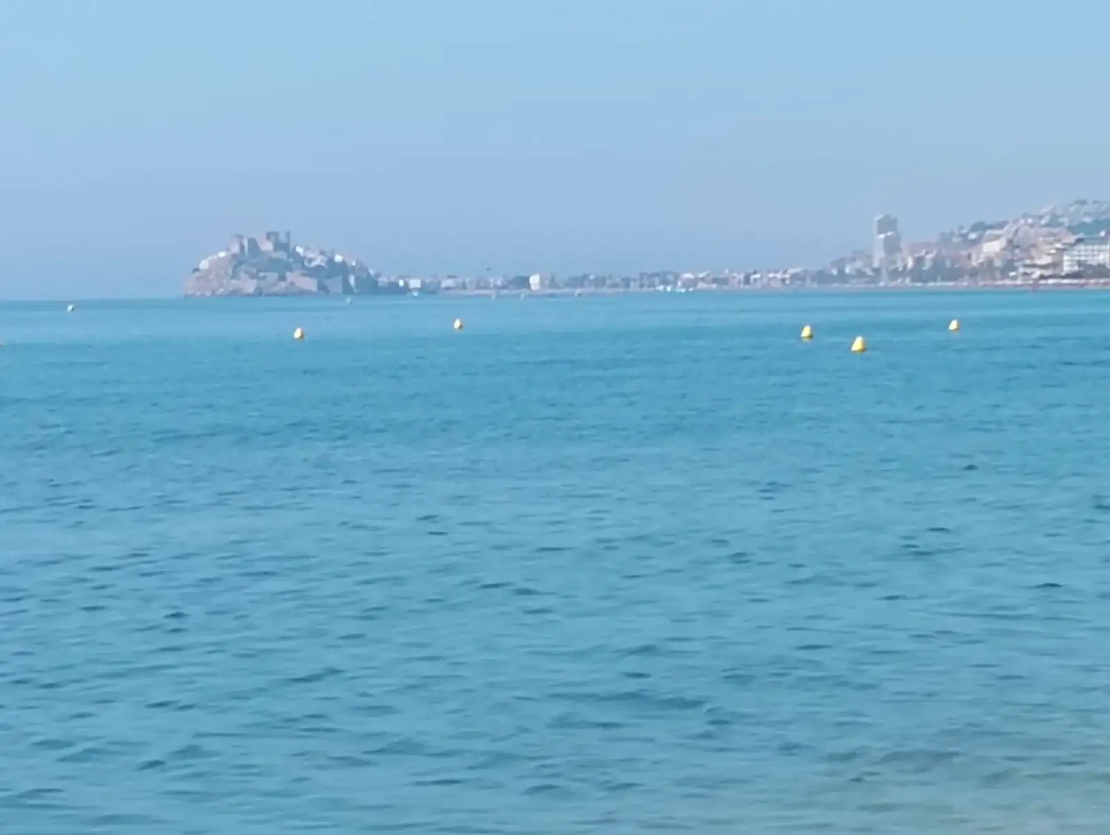 1000131937.webp