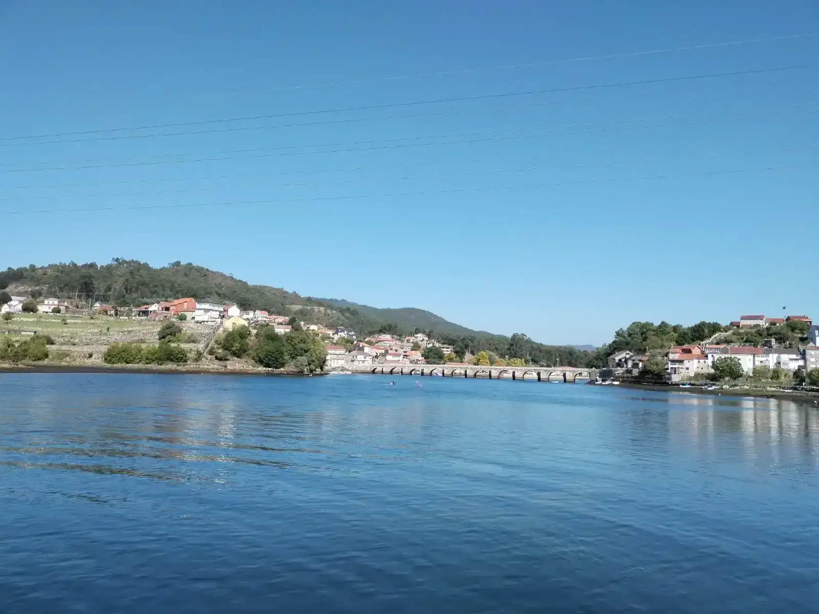 1000147518.webp
