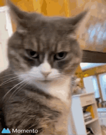 1000202727.gif