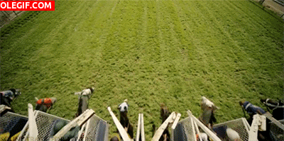 1000214327.gif