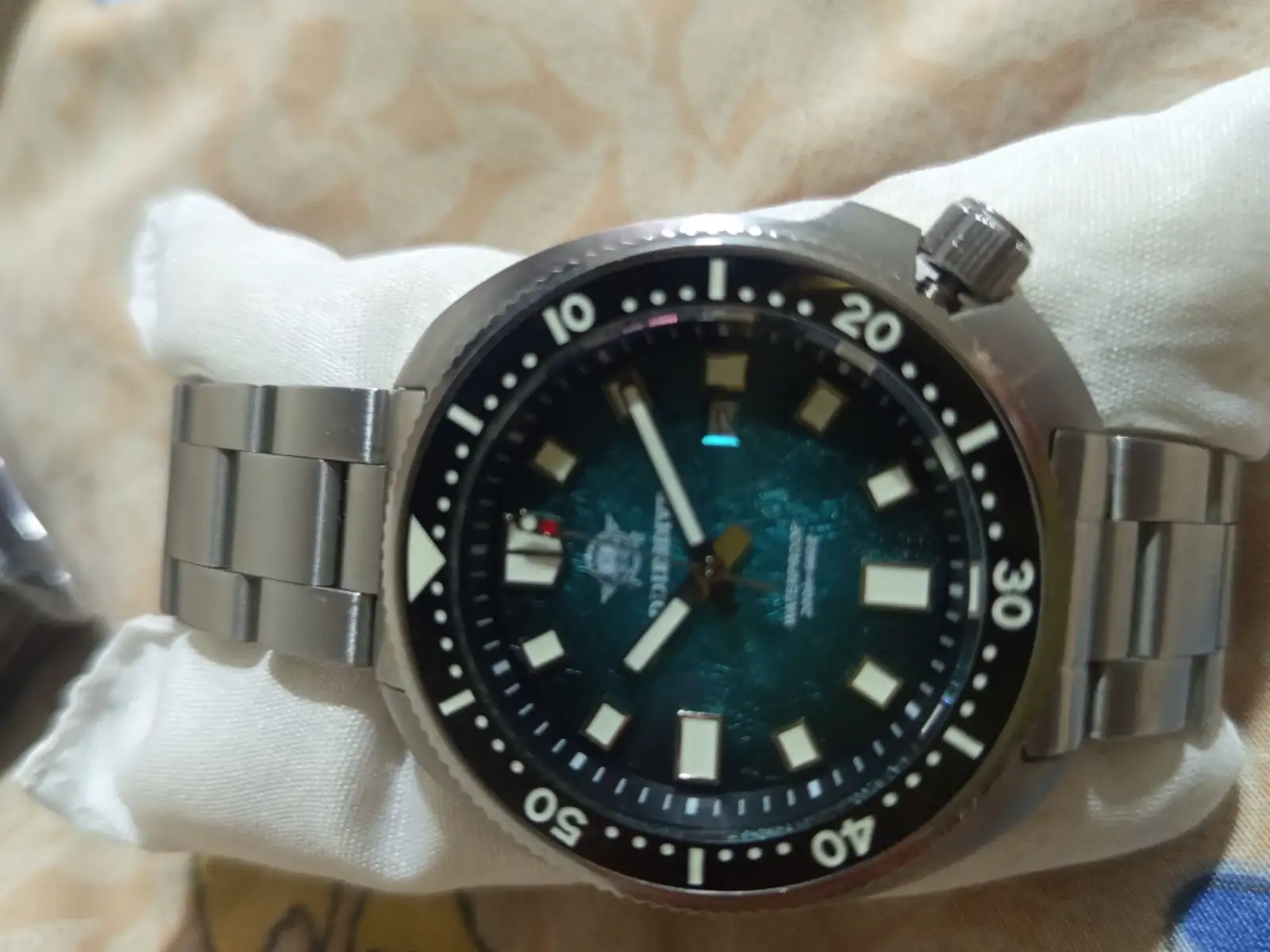 1000220511.webp
