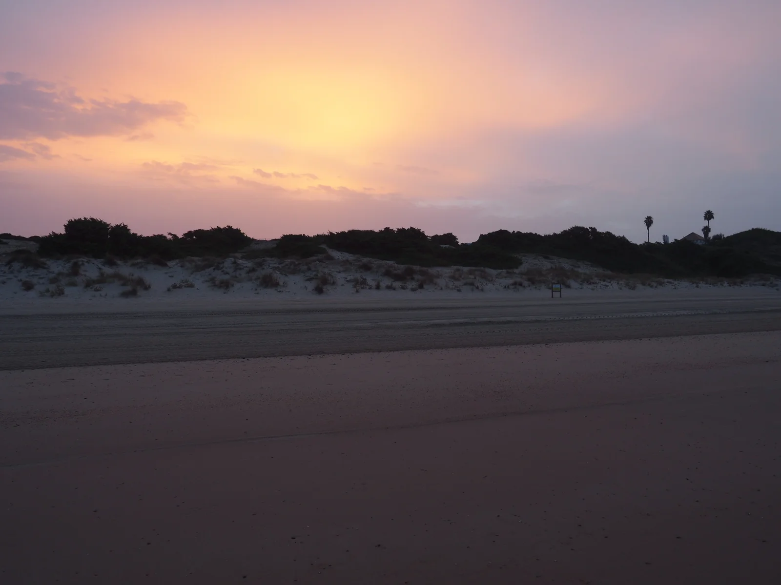 1000257149.webp