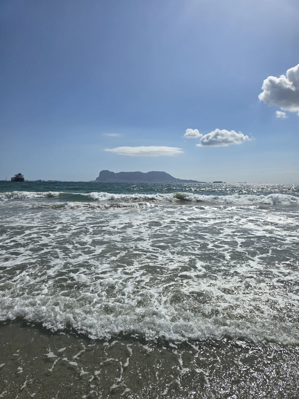 1000260484.webp