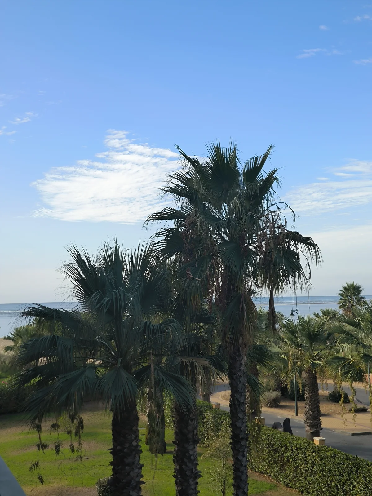 1000299730.webp