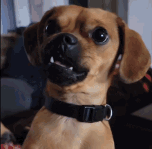 1000323811.gif