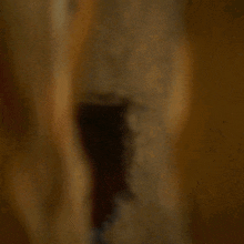 1000326304.gif
