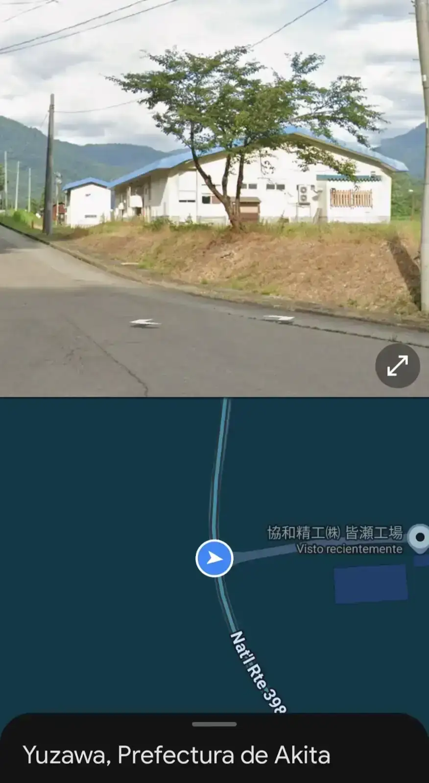 1000330561.webp