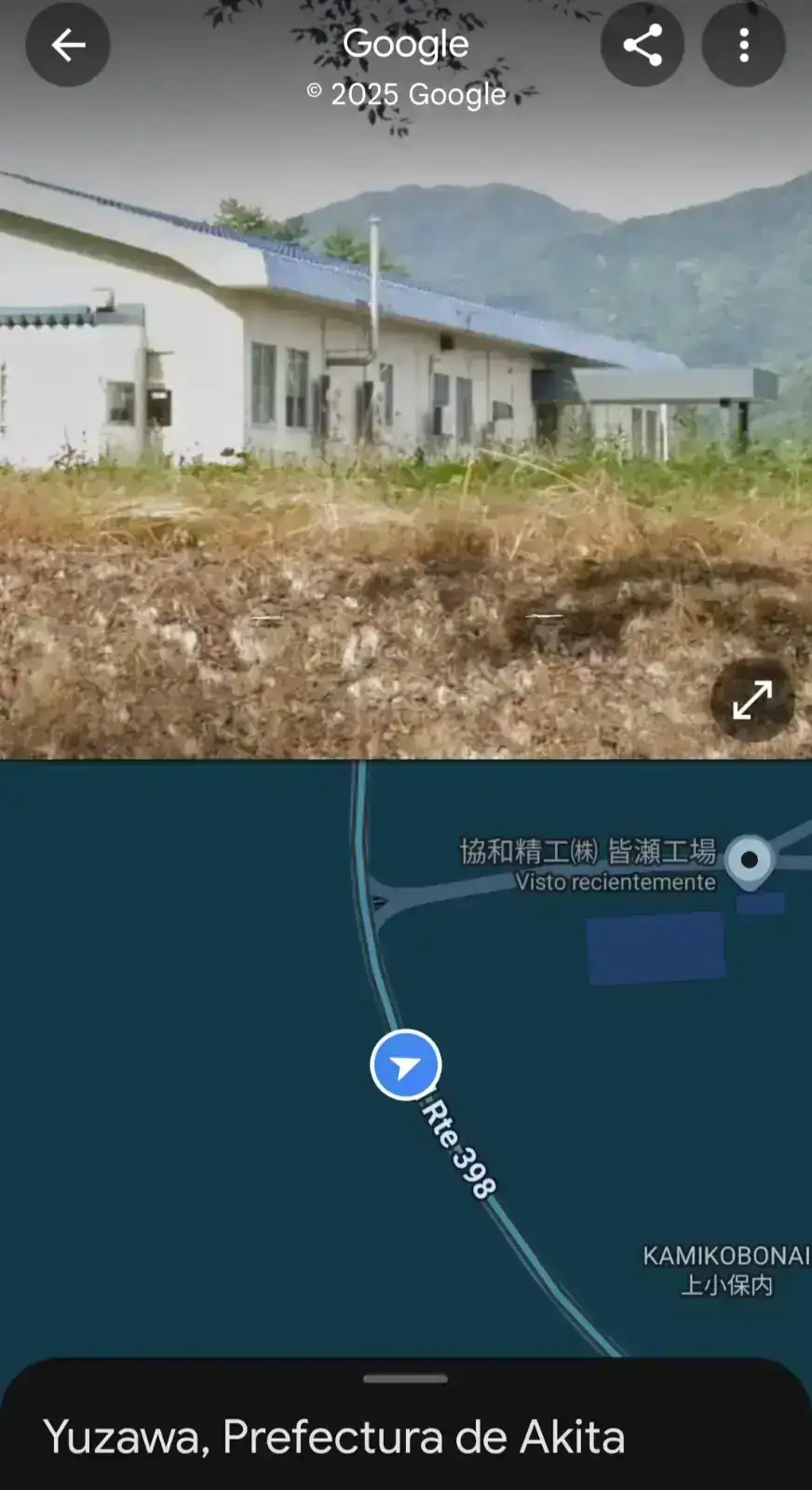 1000330563.webp