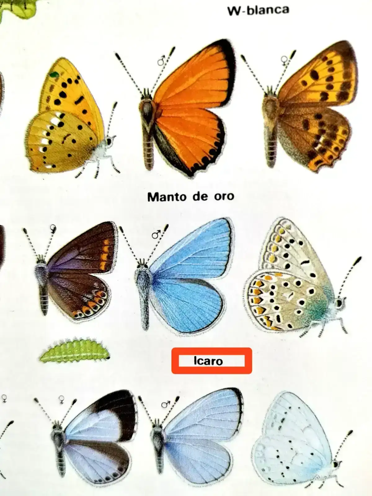 1000359943.webp
