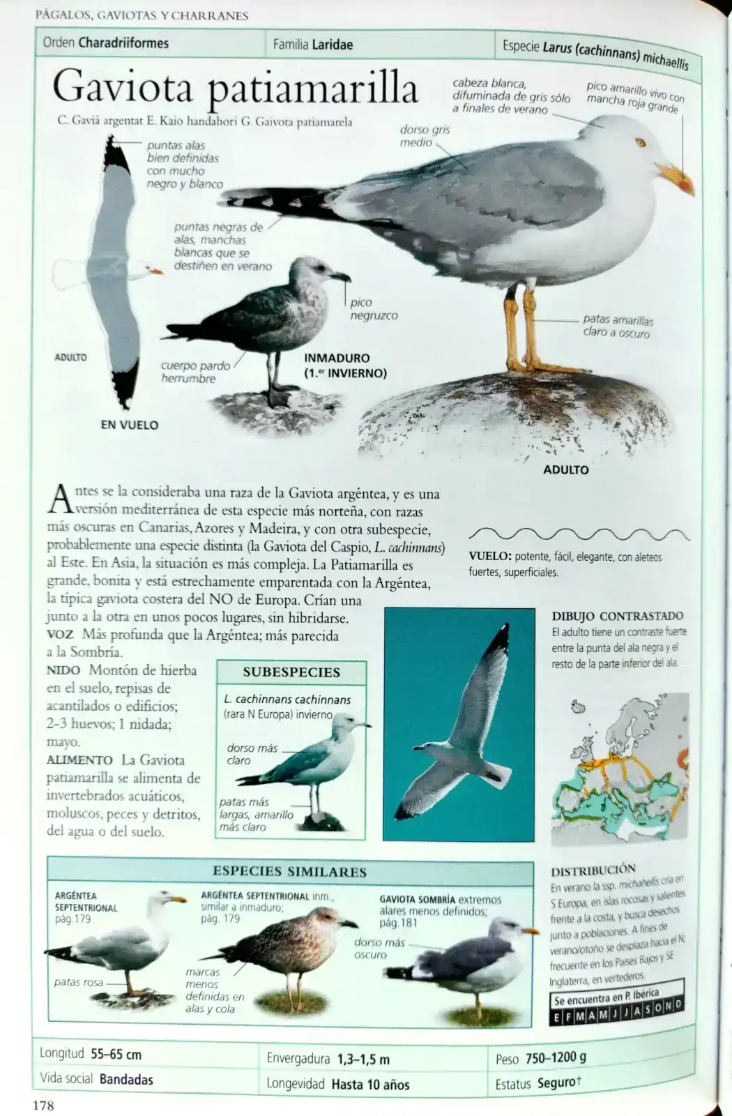 1000385369.webp