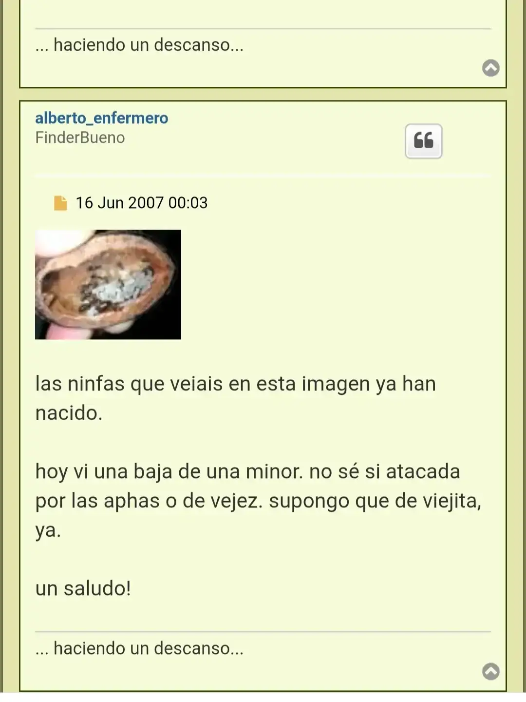 1000391471.webp