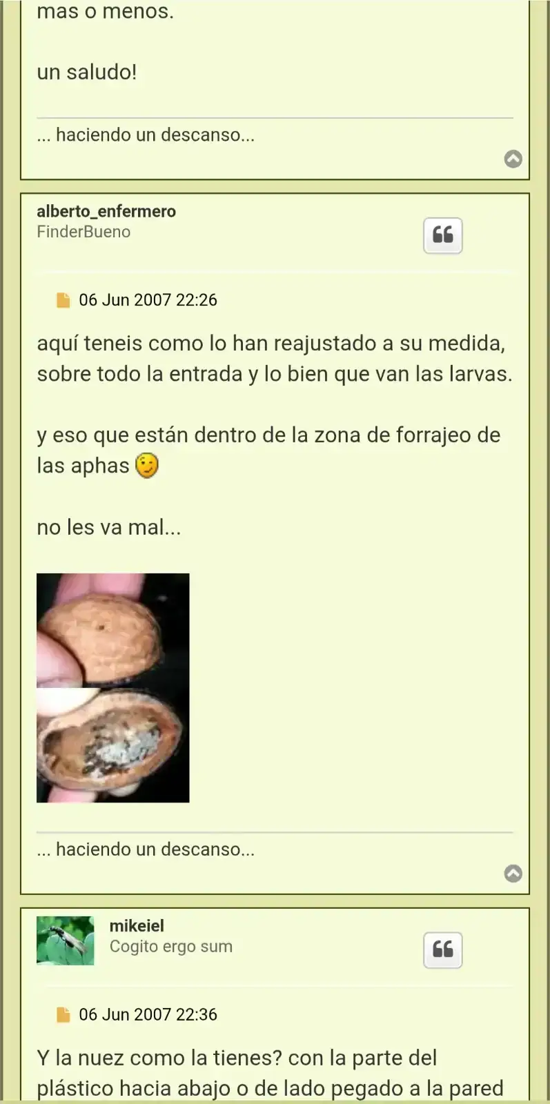 1000391472.webp