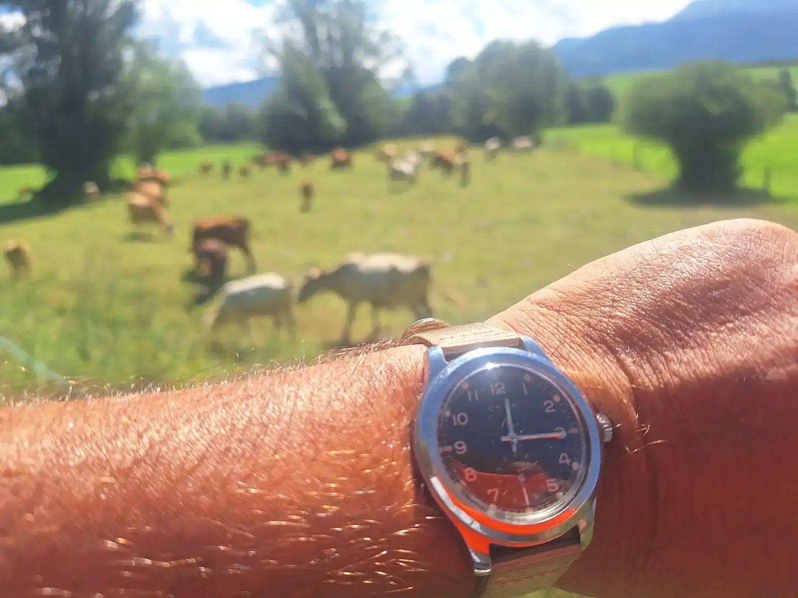 1000548731.webp